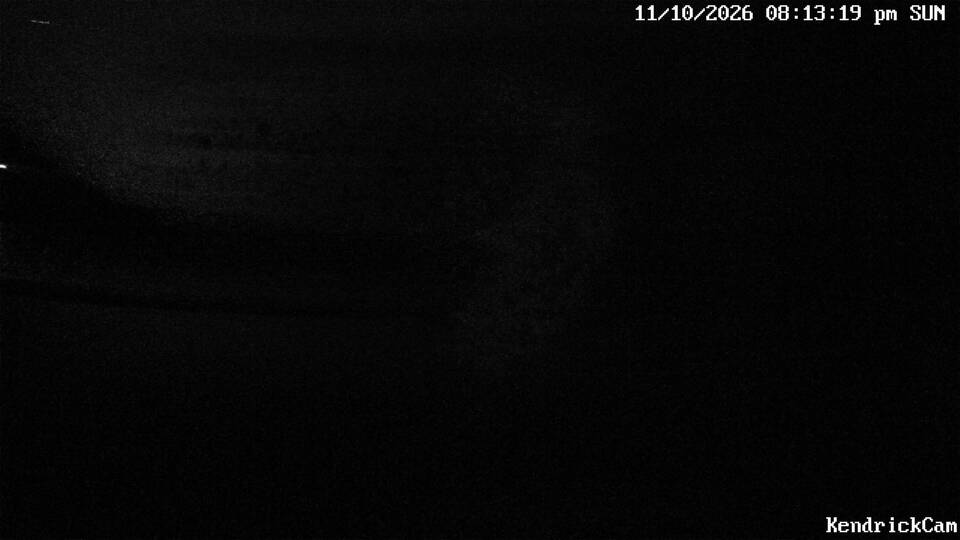 Kendrick Camera webcam