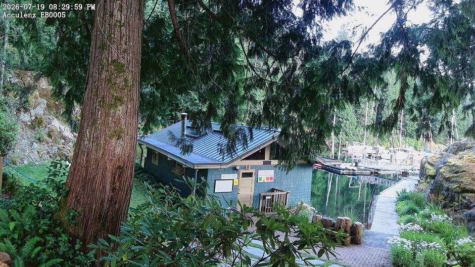 Cabin Camera webcam